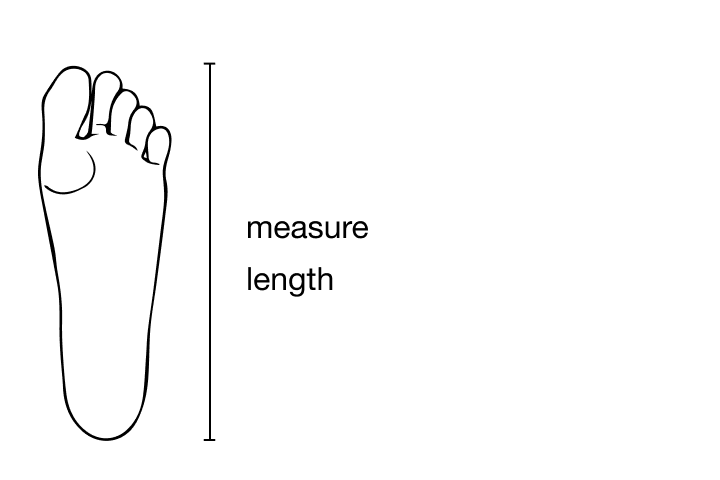 measure length